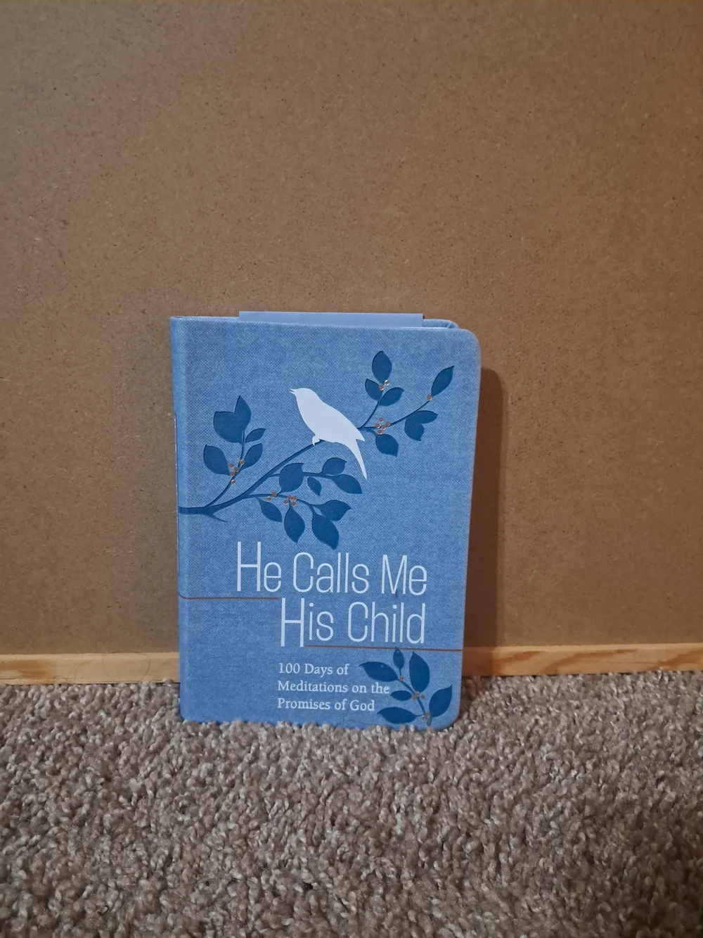 He Calls Me His Child Blue Bird Journal - Inspirational Pets Bird